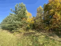 Dražba pozemku, Železný Brod, 2828 m2