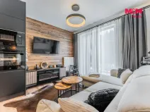 Prodej bytu 2+kk, Černý Důl, 46 m2