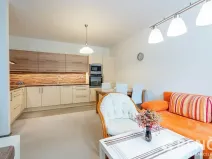 Pronájem bytu 2+kk, Brno, Kartouzská, 45 m2