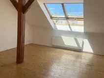 Prodej bytu 3+kk, Praha - Nové Město, Jungmannova, 140 m2
