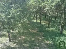 Prodej sadu/vinice, Vanovice, 5319 m2