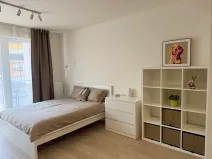 Pronájem bytu 1+kk, Praha - Vysočany, Gerstelova, 35 m2