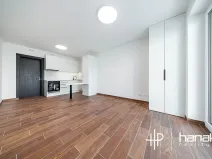 Pronájem bytu 1+kk, Olomouc, Třída Jiřího Pelikána, 33 m2