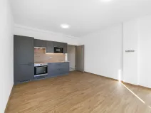 Pronájem bytu 1+kk, Zruč-Senec, Sportovní, 29 m2
