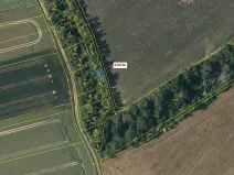 Dražba lesa, Břežany, 68 m2
