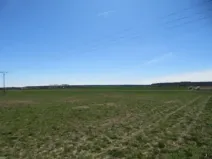 Dražba pole, Běrunice, 15140 m2