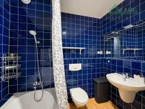 Pronájem bytu 1+kk, Brno, Kristenova, 58 m2