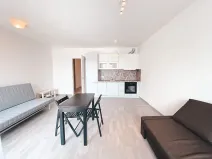 Pronájem bytu 1+kk, Praha - Žižkov, Olgy Havlové, 45 m2