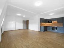 Pronájem bytu 1+kk, Zruč-Senec, Sportovní, 44 m2
