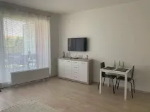 Pronájem bytu 1+kk, Praha - Dejvice, Lindleyova, 36 m2