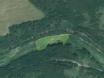 Prodej louky, Bor, 4514 m2