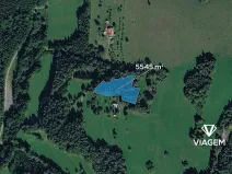 Prodej podílu lesa, Valašská Senice, 4990 m2