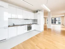 Pronájem bytu 5+kk, Praha - Vinohrady, Italská, 185 m2