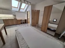 Pronájem bytu 1+kk, Olomouc, Ztracená, 20 m2