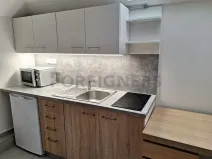 Pronájem bytu 1+kk, Olomouc, Ztracená, 20 m2