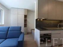 Pronájem bytu 1+kk, Praha - Holešovice, V háji, 30 m2
