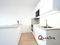 Pronájem bytu 1+kk, Praha - Hloubětín, Poděbradská, 33 m2