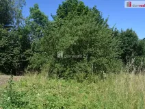 Prodej pozemku pro bydlení, Loukovec, 909 m2
