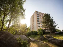 Prodej bytu 3+1, Liberec, Olbrachtova, 65 m2