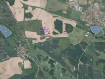 Prodej lesa, Velký Bor, 16139 m2