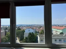 Pronájem bytu 1+kk, Brno, Kneslova, 20 m2
