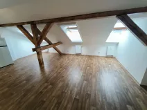 Pronájem bytu 1+kk, Ústí nad Labem, Londýnská, 52 m2