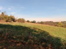 Prodej louky, Kouřim, 87548 m2