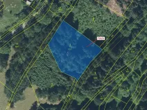 Dražba lesa, Zlatá Olešnice, 2620 m2