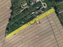 Prodej pole, Moravany, 3323 m2