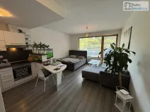 Pronájem bytu 1+kk, Brno, Pastviny, 58 m2