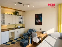 Pronájem bytu 1+kk, Ústí nad Labem - Ústí nad Labem-centrum, Hilarova, 21 m2