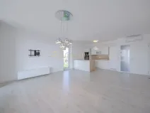 Pronájem bytu 3+kk, Olomouc - Nová Ulice, Karla Mareše, 108 m2