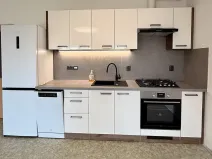 Pronájem bytu 1+kk, Brno, Vavřinecká, 41 m2