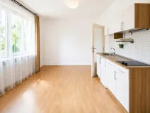 Pronájem bytu 1+kk, Praha - Nové Město, Biskupský dvůr, 26 m2