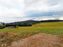 Prodej pozemku pro bydlení, Libkov, 4428 m2