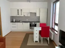 Pronájem bytu 1+kk, Praha - Žižkov, Baranova, 40 m2