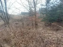Prodej pozemku, Načeradec, 2315 m2