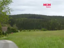 Prodej louky, Vysoká Srbská, 26000 m2