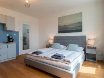 Pronájem bytu 1+kk, Praha, Perucká, 27 m2
