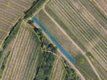 Prodej pole, Brumovice, 1450 m2