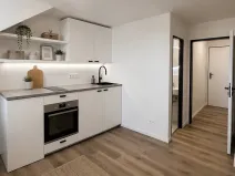 Pronájem bytu 1+kk, Praha - Nusle, Petra Rezka, 19 m2