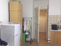 Pronájem bytu 1+kk, Praha - Podolí, Na dolinách, 30 m2
