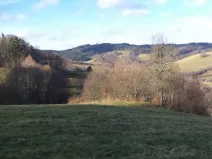Dražba louky, Seninka, 13881 m2