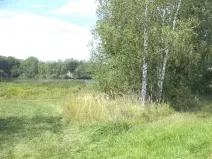 Dražba louky, Čejetice, 620 m2