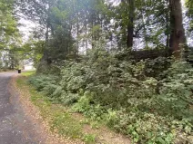 Dražba pozemku, Jindřichovice, 272 m2