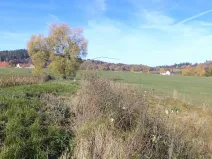 Dražba pole, Borovná, 1225 m2