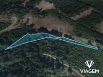 Prodej podílu lesa, Vysoké nad Jizerou, 932 m2