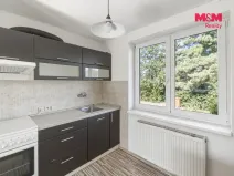 Pronájem rodinného domu, Dolní Beřkovice, Dolní hájek, 100 m2