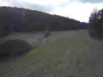 Prodej pole, Horšovský Týn - Oplotec, 385 m2