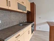 Pronájem bytu 1+kk, Plzeň, Sladová, 42 m2